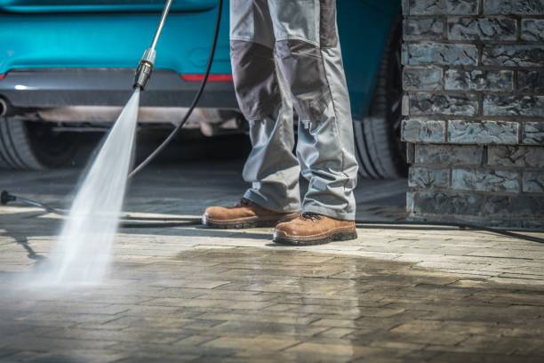Best Warehouse Cleaning  in Dunlap, IA