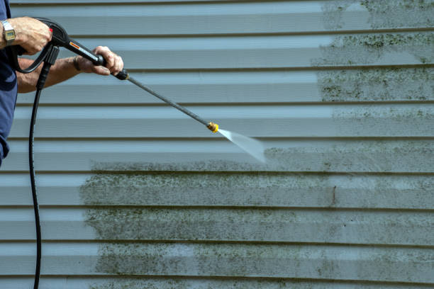 Best Sidewalk and Walkway Cleaning  in Dunlap, IA